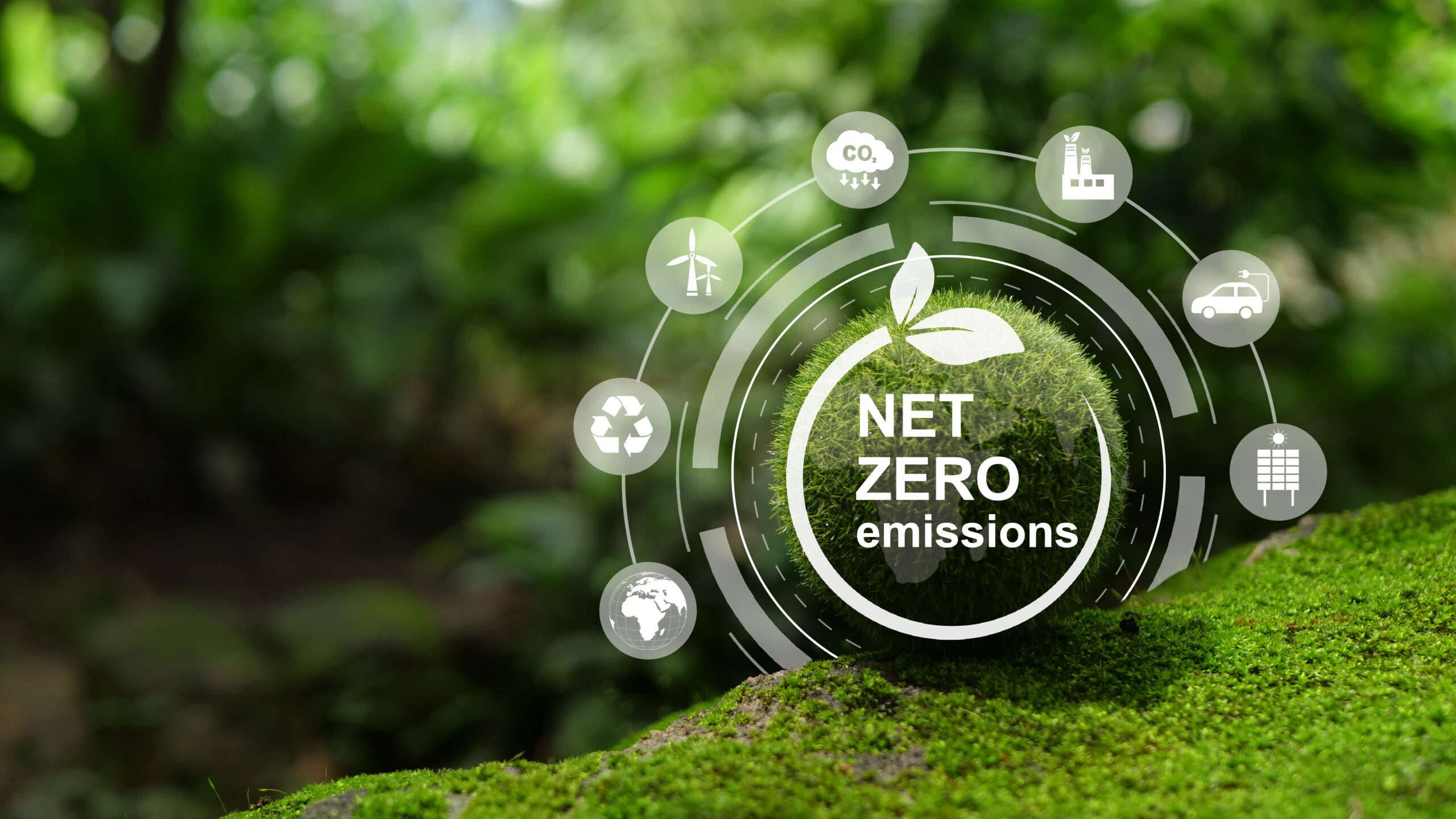 Net-Zero Emission – Carbon Neutrality concept. Close up earth on nature background. Nature onservation, Ecology, Social Responsibility and Sustainability